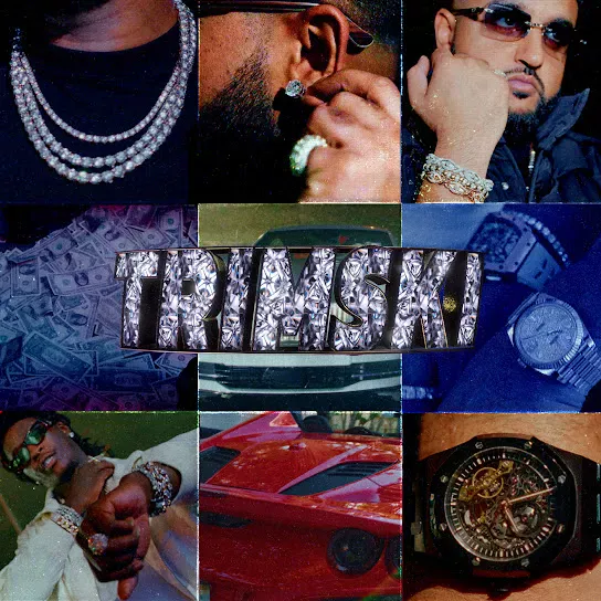 NAV - Trimski