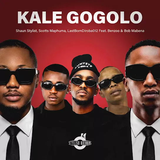 Shaun Stylist - Kale Gogolo